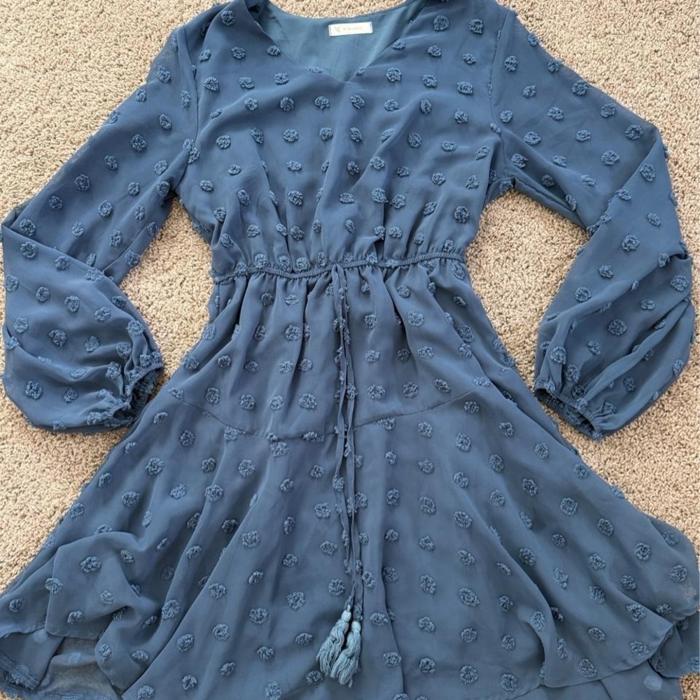 long-sleeve, V-neck Swiss dot chiffon swing mini dress